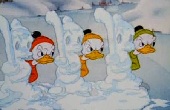 donald-kacsa - A hokibajnok