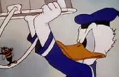 donald-kacsa - Ablaktisztító