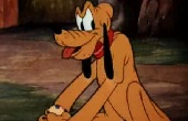 donald-kacsa - Donald kutyamosója
