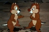 donald-kacsa - Élelem télire