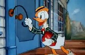 donald-kacsa - Kacsa úr kimenője