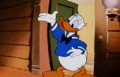 donald-kacsa - Viccet vagy csokit ?