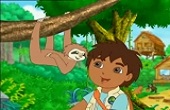 go-diego-go - Lajhárok