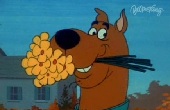 Scooby Doo - Kukac kutya