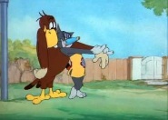 tom-es-jerry-rajzfilm - Turbékoló madárka